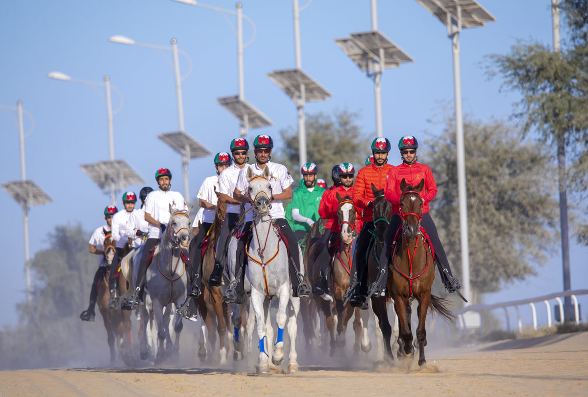 Endurance Riding