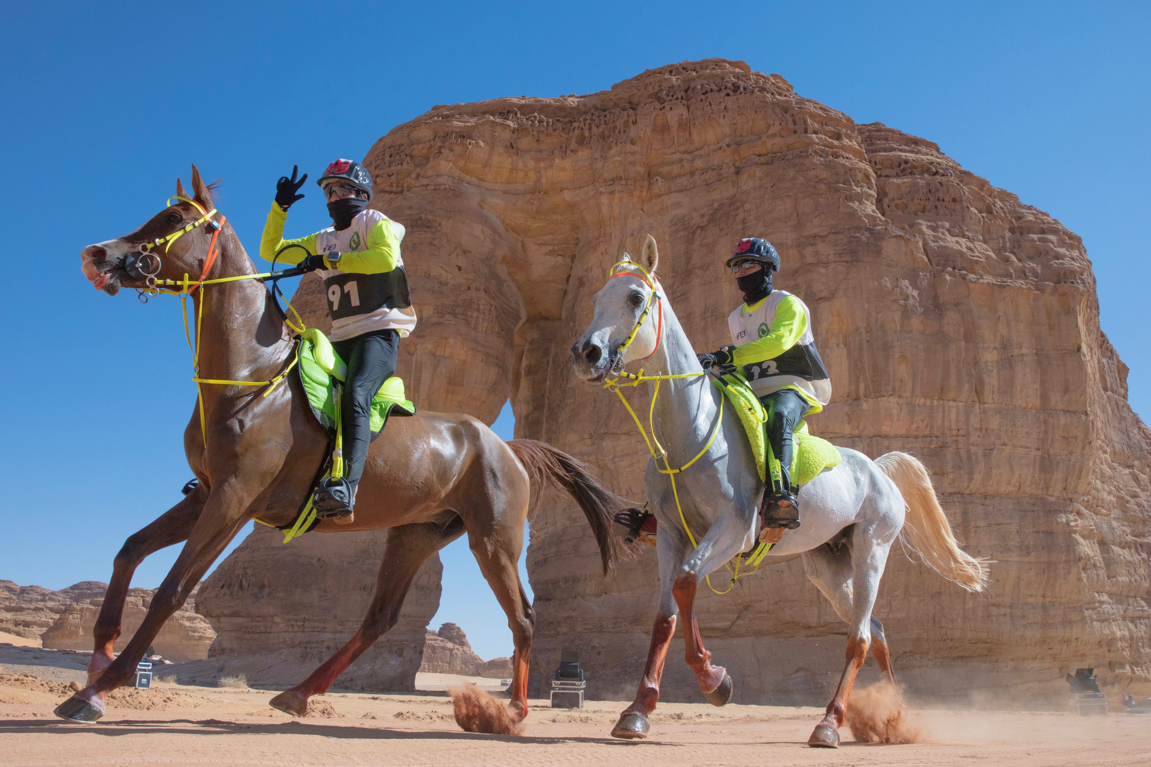 The Custodian of The Two Holy Mosques Endurance Cup