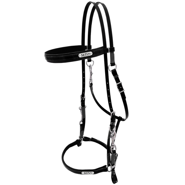 Bridle with Clasp Beta