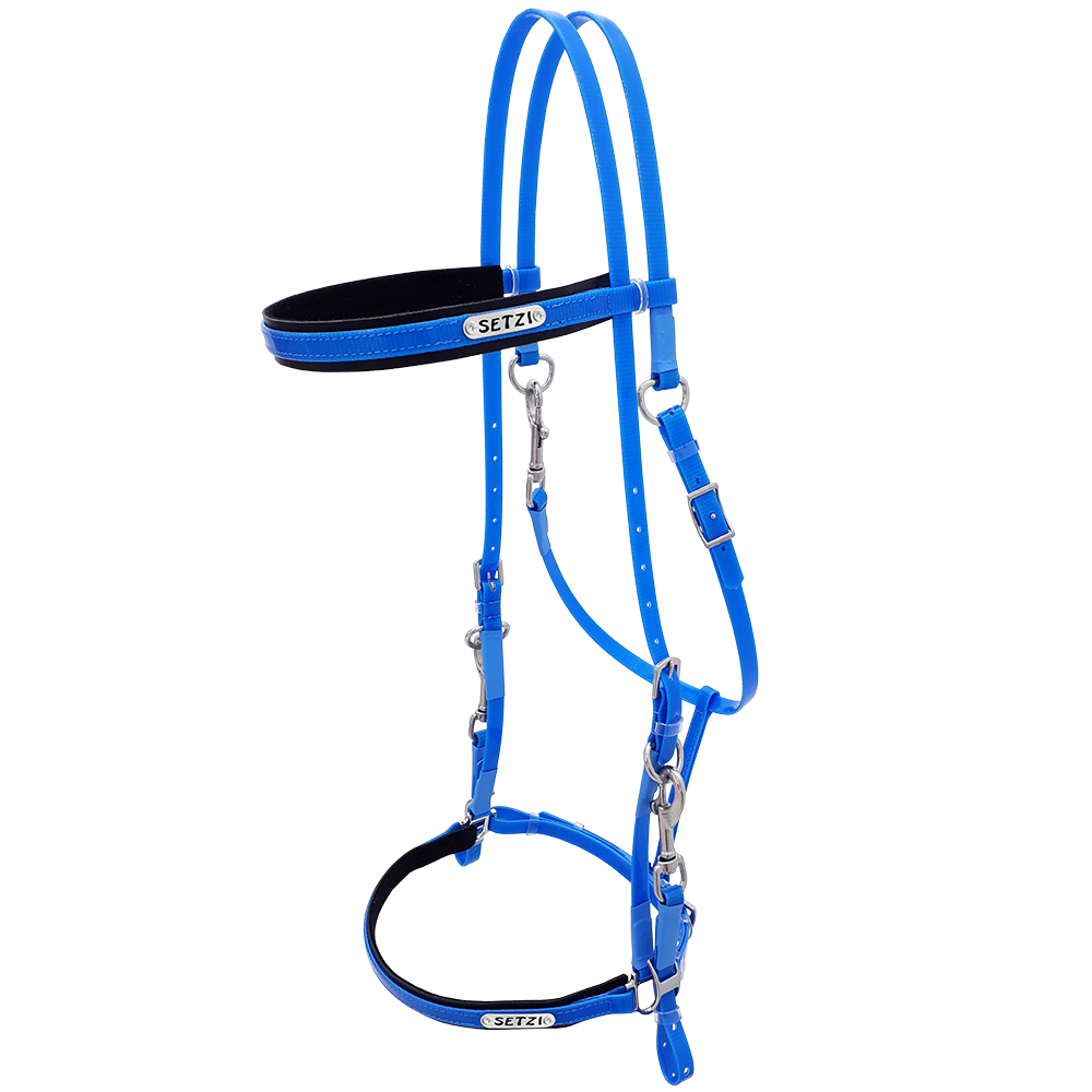 Bridle with Clasp Beta