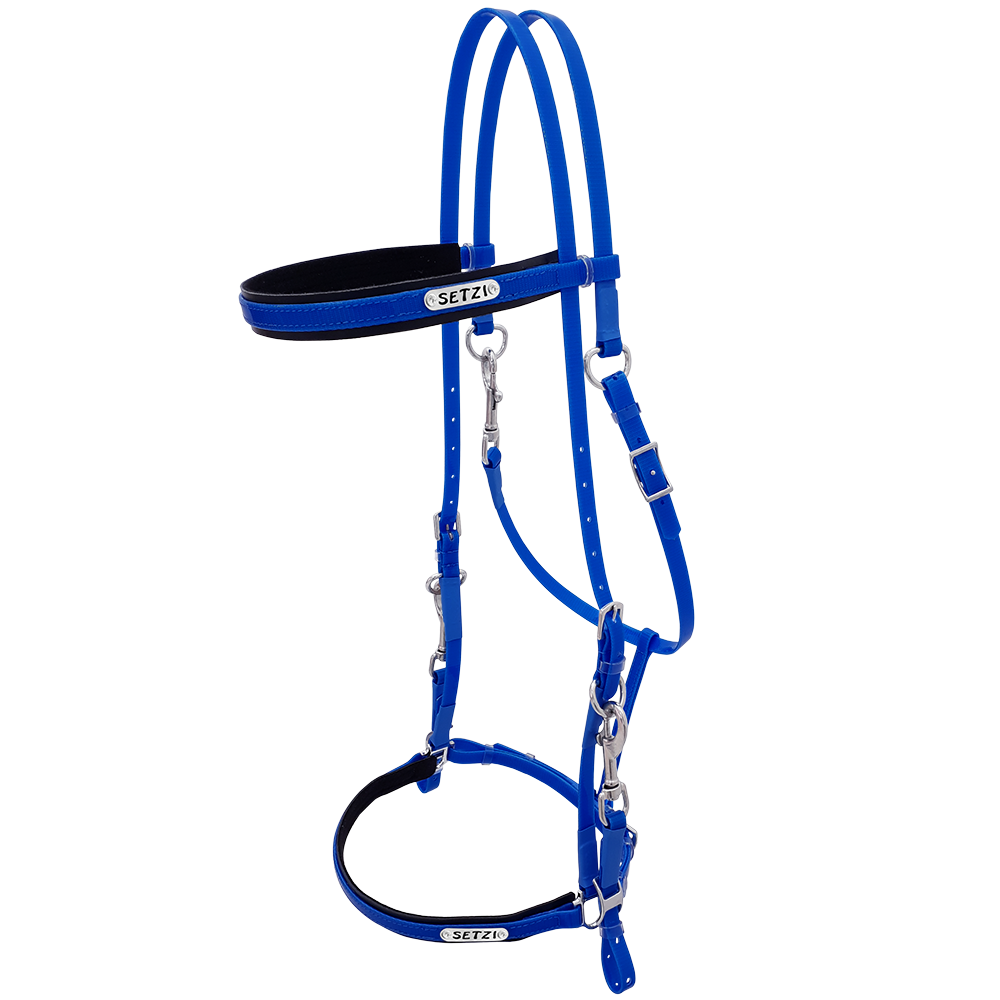 Bridle with Clasp Beta