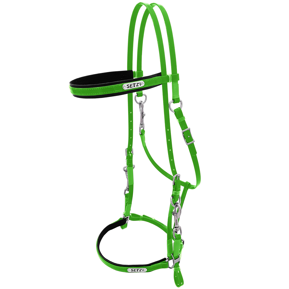 Bridle with Clasp Beta