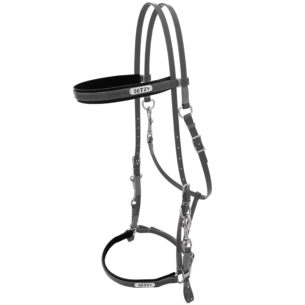 Bridle with Clasp Beta