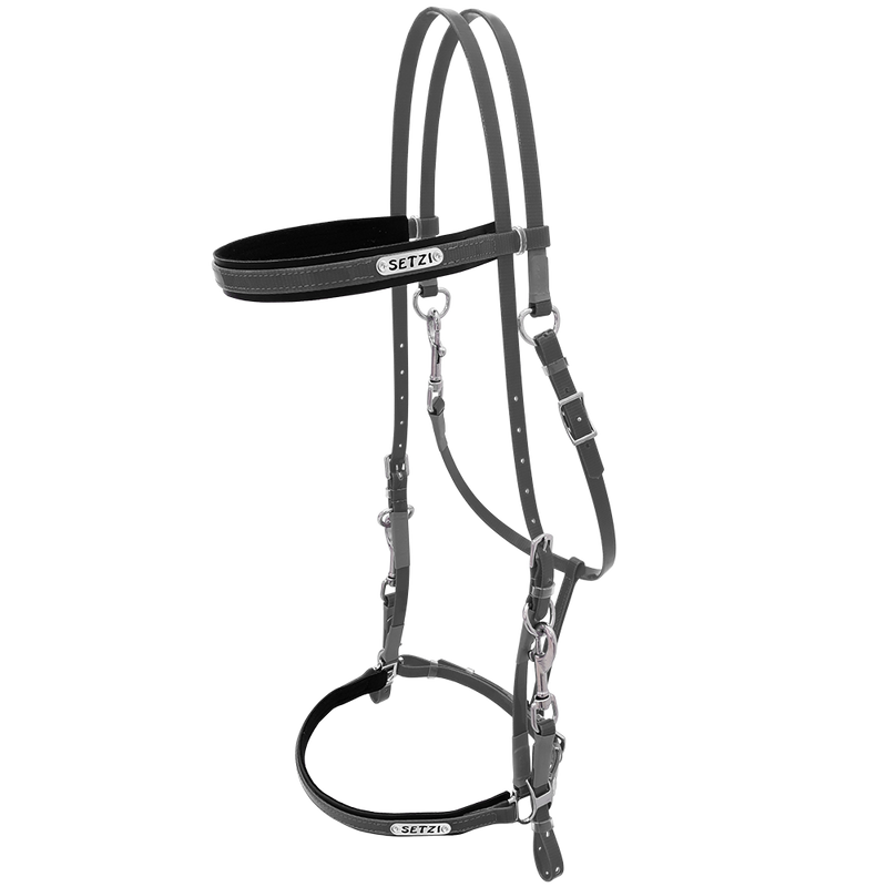 Bridle with Clasp Beta