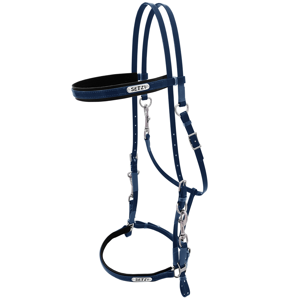 Bridle with Clasp Beta