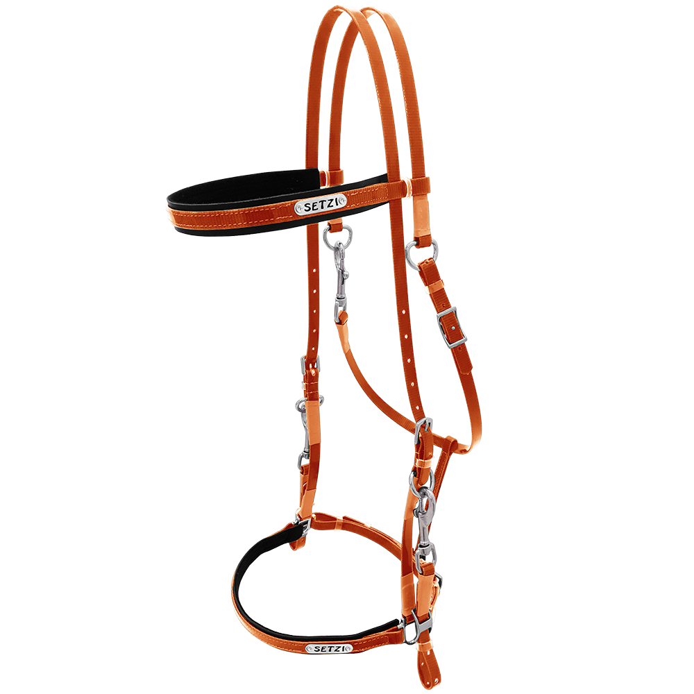 Bridle with Clasp Beta