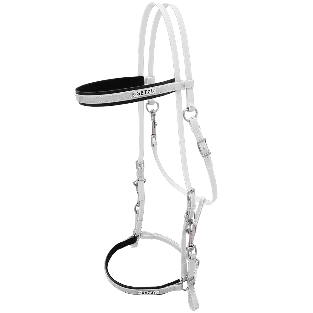 Bridle with Clasp Beta