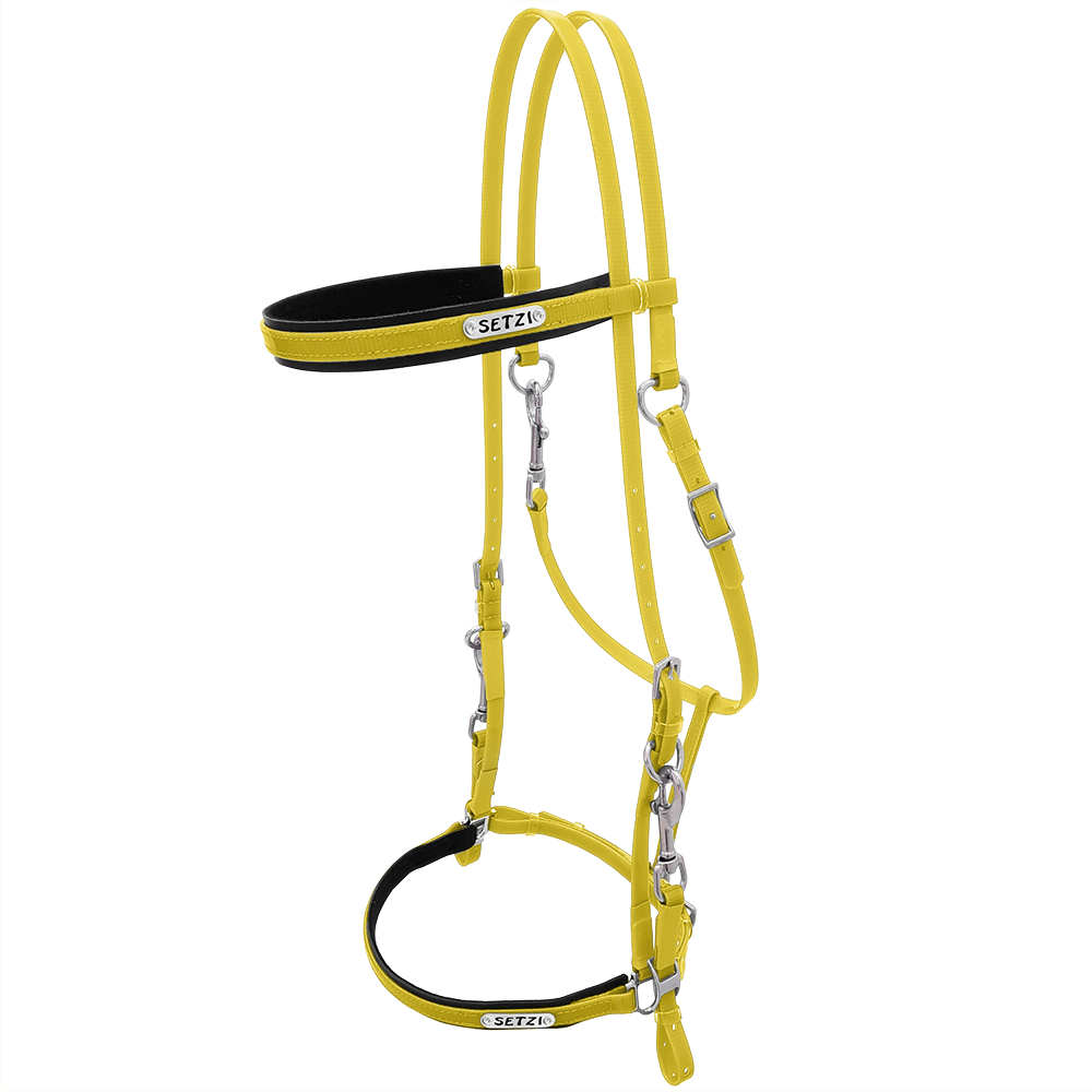 Bridle with Clasp Beta