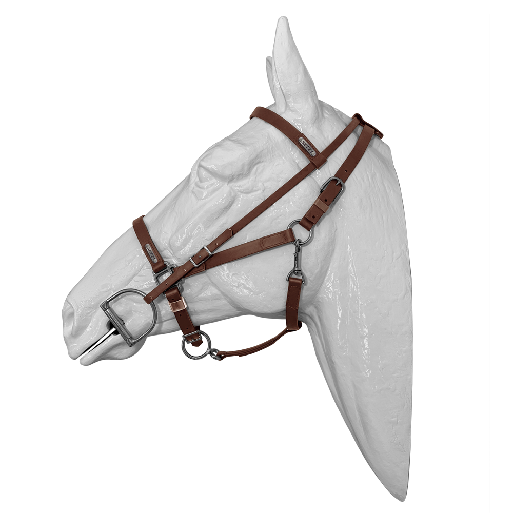 DELUXE BRIDLE